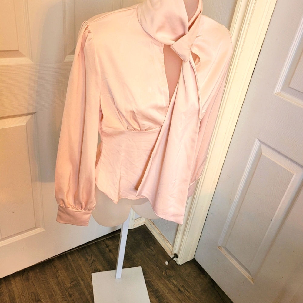 Pink Long Sleeve Blouse